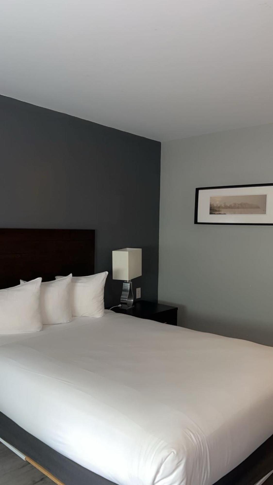 Hotel Newstar Μόντρεαλ Εξωτερικό φωτογραφία