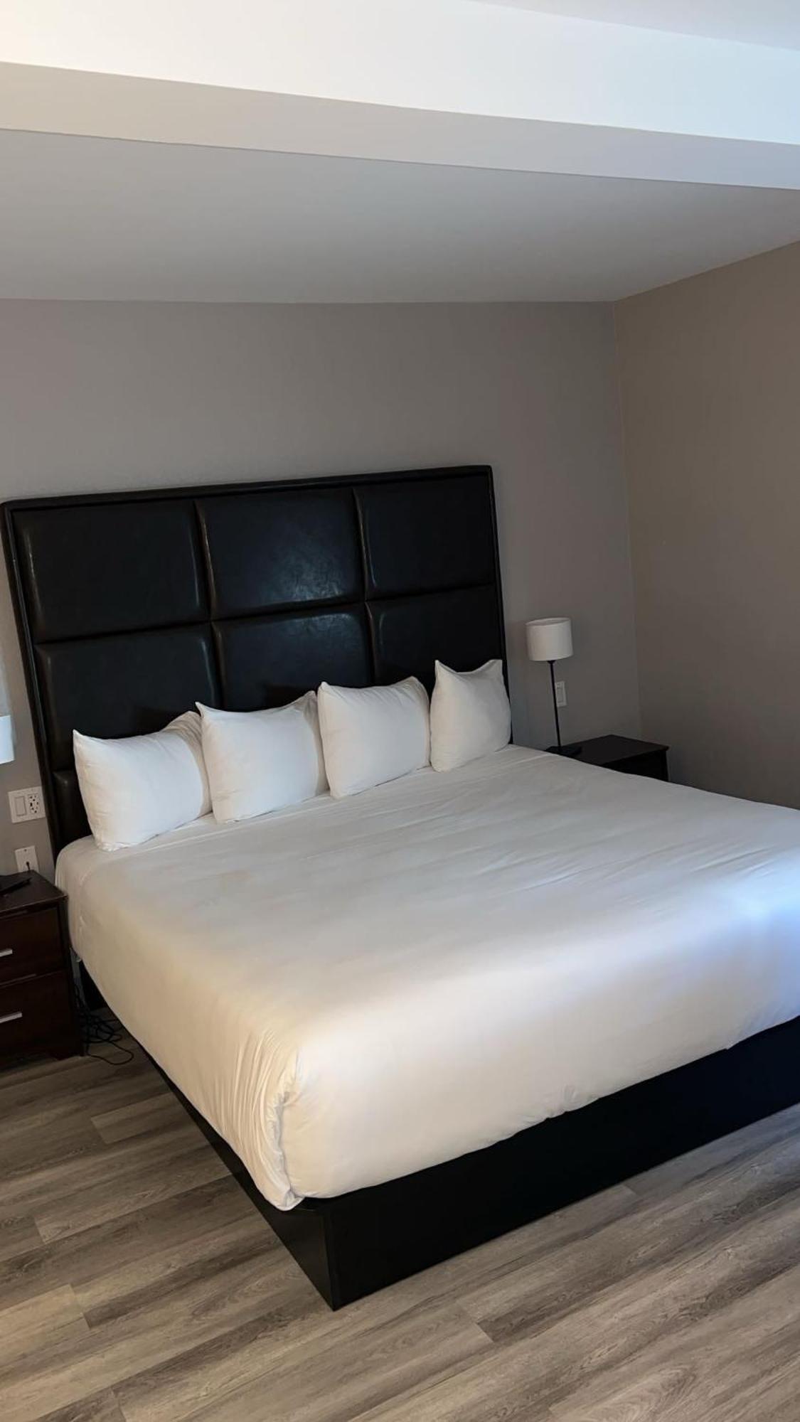 Hotel Newstar Μόντρεαλ Εξωτερικό φωτογραφία